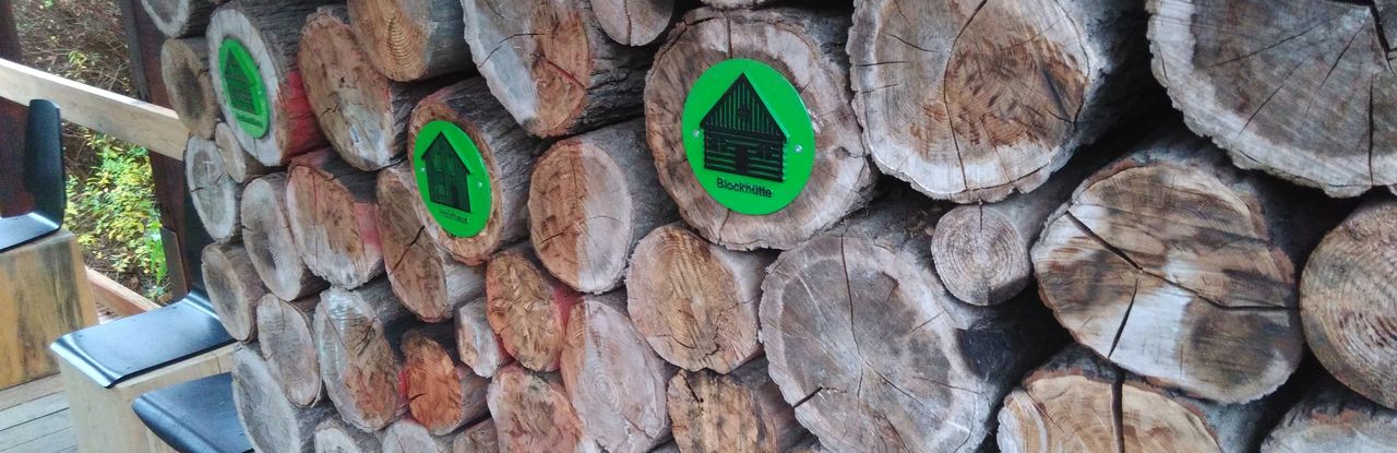 Here is a picture of tactile symbols of a leaf and a beetle on an educational trail at the House of the Forest, an educational centre in Stuttgart, Germany.