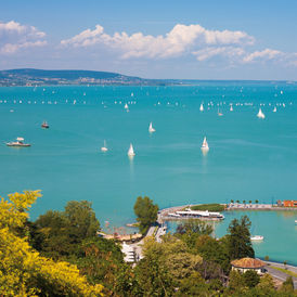 Das Bild zeigt den Plattensee oder Balaton - einen See in Ungarn und eines der Projektgebiete von „Nature without Barriers“. Die Sonne scheint, auf dem See segeln viele Schiffe.