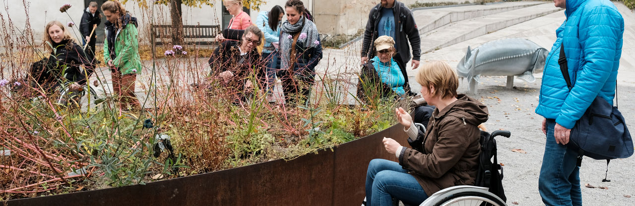 "This picture shows members of the project team trying out what it feels like to experience nature in a wheelchair. Some of the people in wheelchairs feel the wild herbs and plants in a raised bed adapted in height.  "